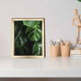Wallity Cuadro Decorativo ACT-049 Multicolor